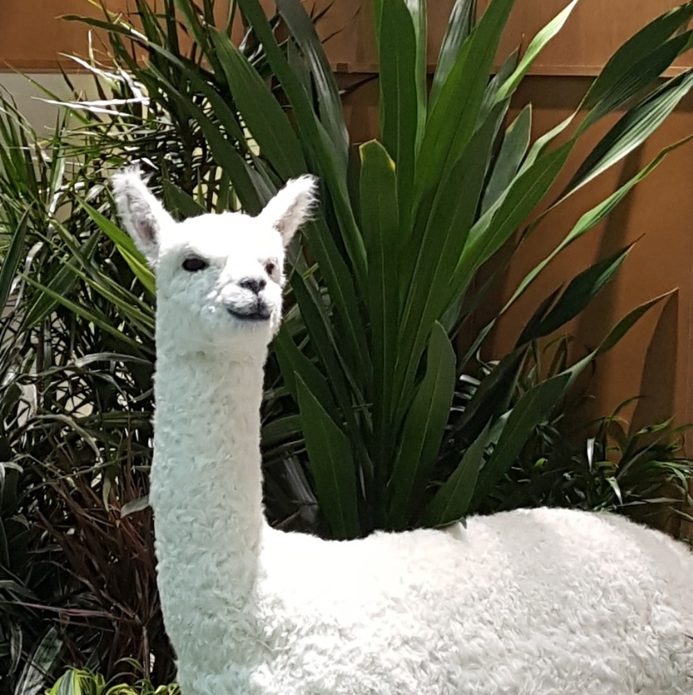 Meet your Posher, Monica